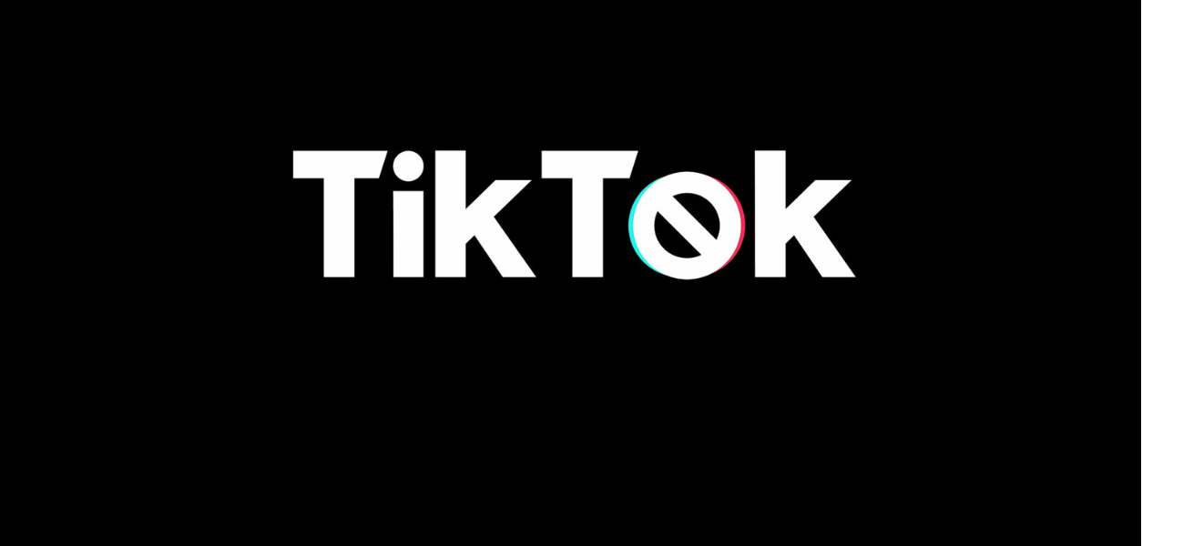 TikTok’s Holiday Playbook: Tips and Tricks to Grow Your Sales